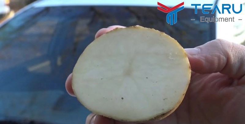 Cách dùng khoai tây để bôi trơn kính xe
