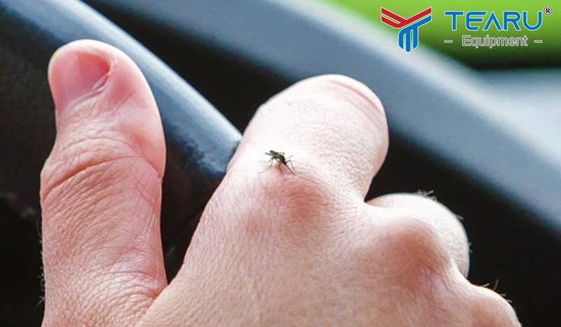 Cách đuổi côn trùng ra khỏi xe khi đang lái