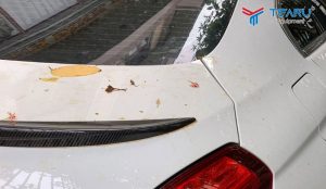 Nguyên nhân khiến xe màu trắng bị ố vàng