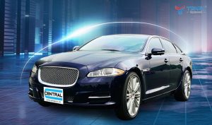 Trong 10 năm mới dự kiến sẽ phát triển mạnh mẽ