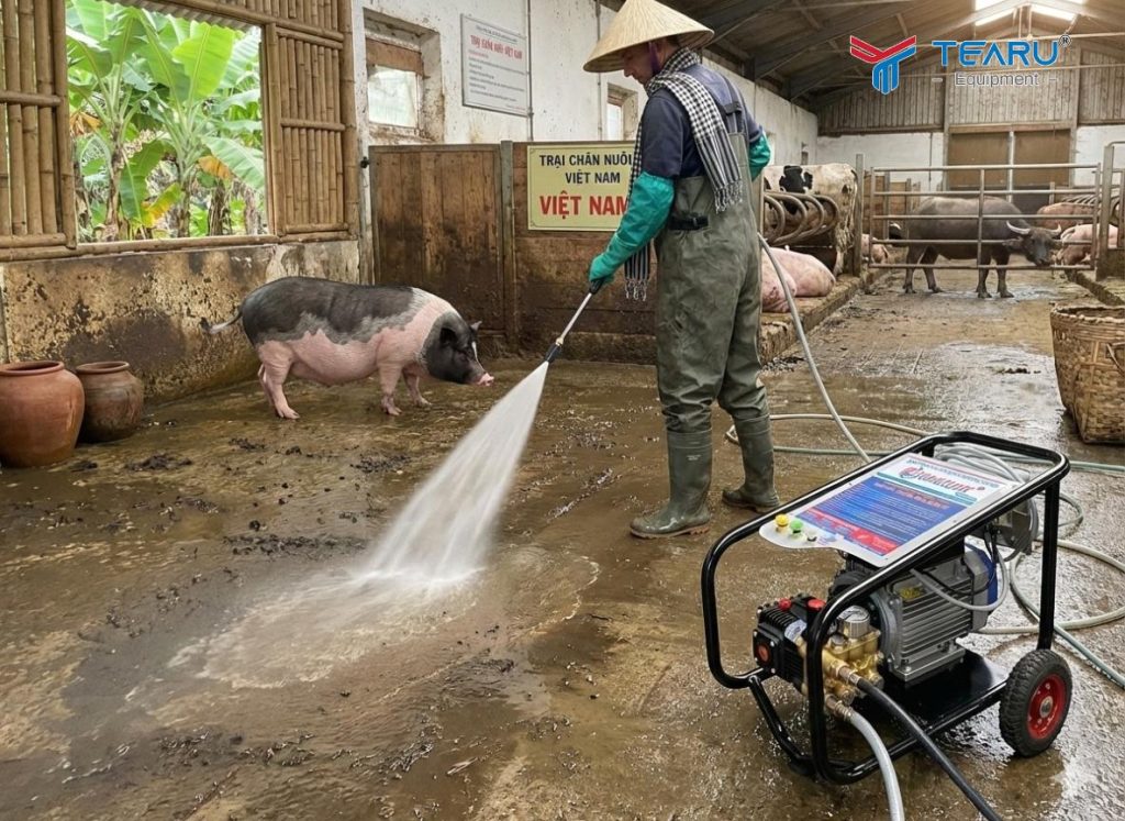 Ứng Dụng Máy Xịt Rửa Cao Áp Cho Chuồng Trại Chăn Nuôi: Giải Pháp Vệ Sinh Hiệu Quả 1 Ứng Dụng Máy Xịt Rửa Cao Áp Cho Chuồng Trại Chăn Nuôi: Giải Pháp Vệ Sinh Hiệu Quả