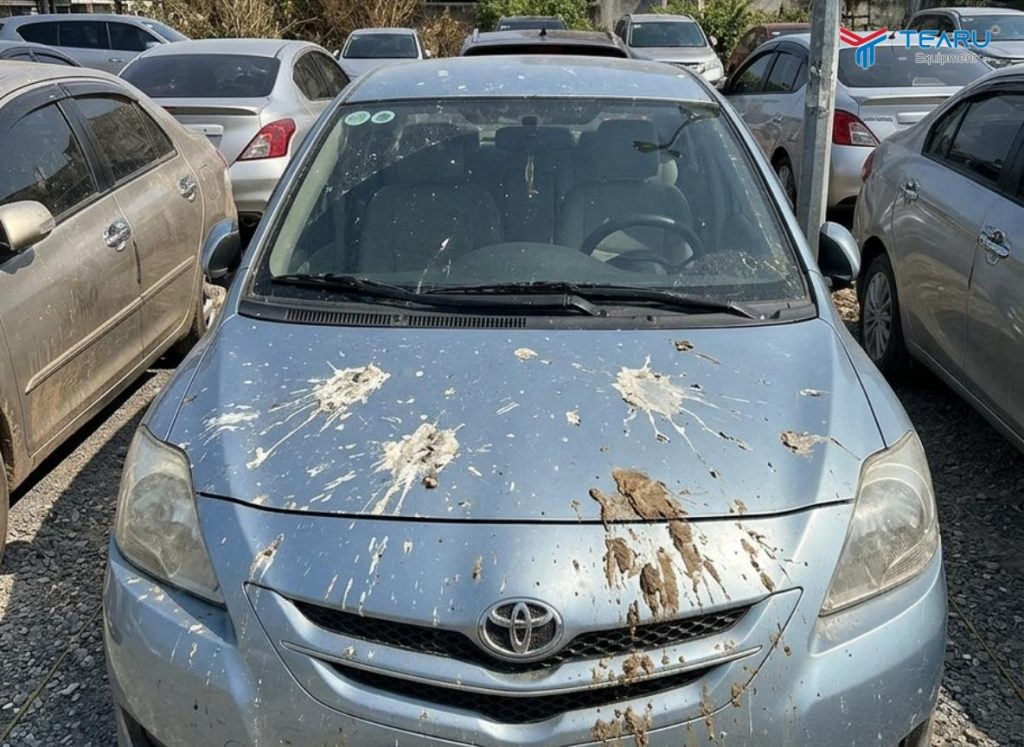 Những Dấu Hiệu Xe Cần Rửa Ngay Nếu Không Muốn Hư Sơn 2 Cần rửa xe ngay lập tức khi xe bị dính phân chim và nhựa cây